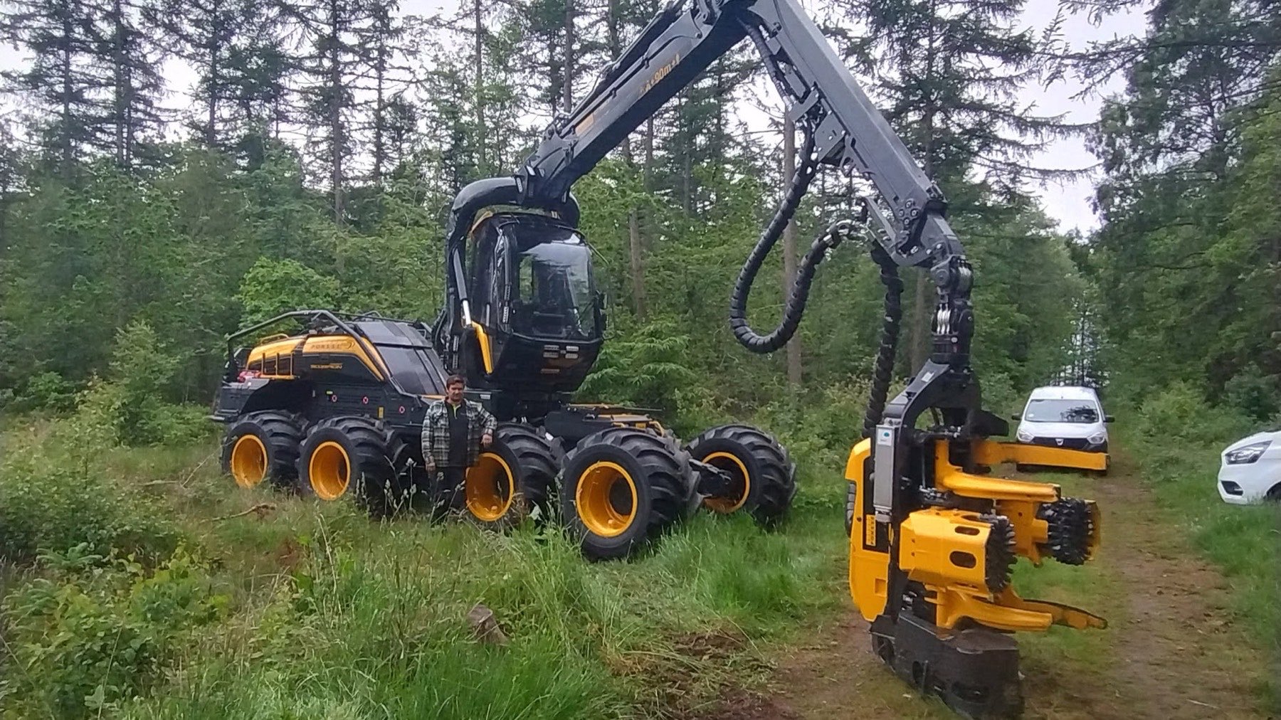 Maskinel skovning på Bornholm — PM Flis' Ponsse-harvester fælder træ i bornholmsk skov