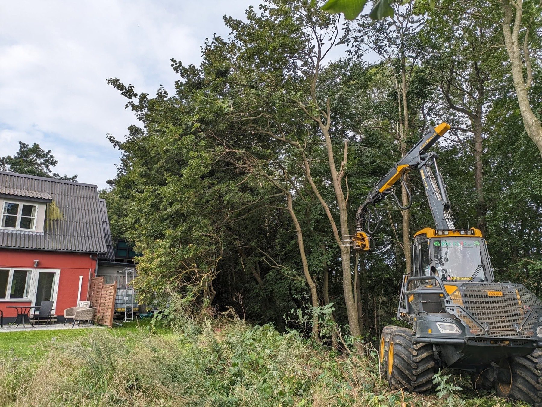 Træfældning og tyndning tæt på hus på Bornholm